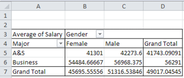 Figure 3.5  Resulting Excel PivotTable