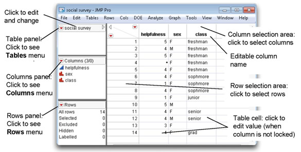 Figure 3.1: Data Table Elements