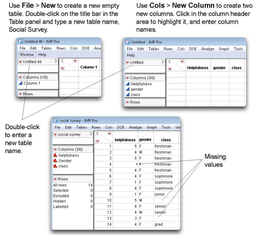 Figure 4.2: Enter the Social Survey Data into a JMP Table