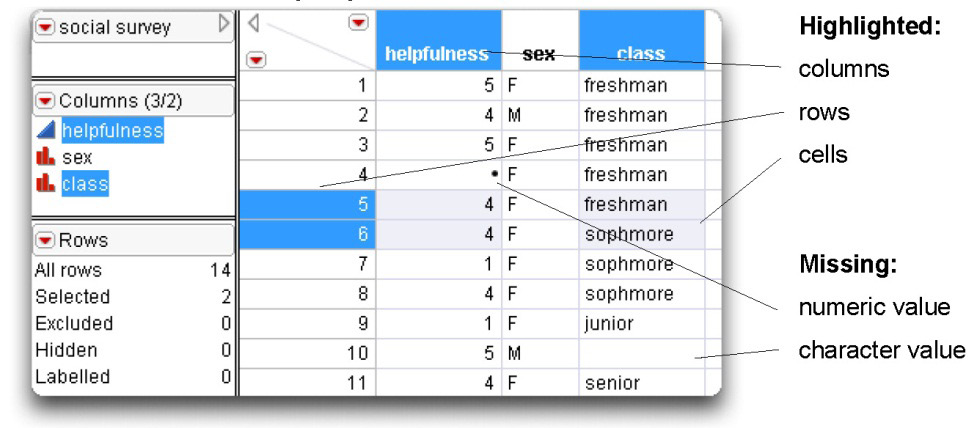 Figure 3.2: Data Table with Highlighted Rows and Columns