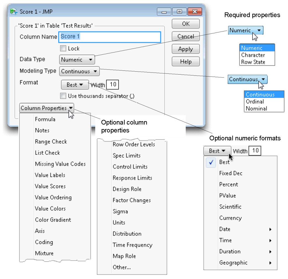 Figure 3.4: Column Options in the Column Info Dialog