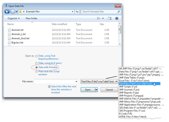 Figure 3.5: Open Data File Dialog Showing Text Files Only