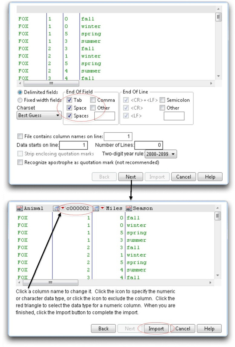 Figure 3.6: Text Import Preview Dialog