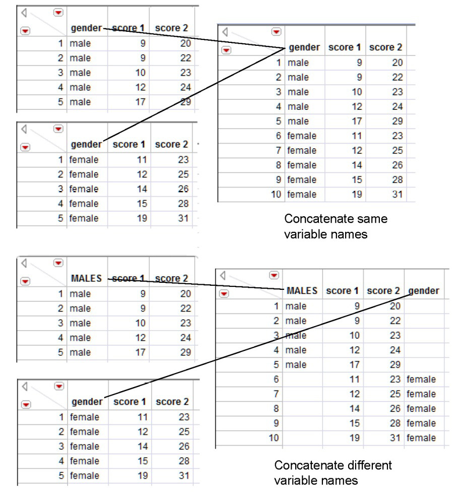 Figure 3.18: Concatenate Tables with Same or Different Variable Names