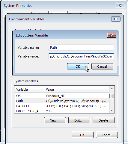 Configure environment variables