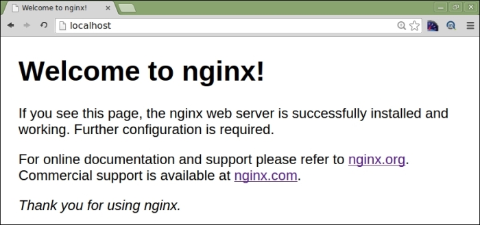 Building and installing NGINX