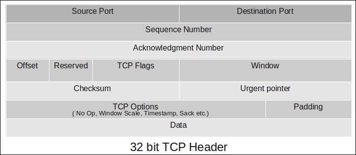 The TCP window