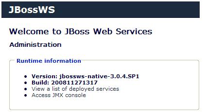 Inspecting the Web Service from the console