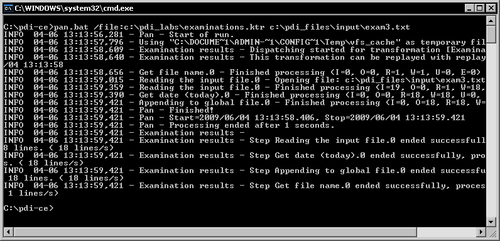 Time for action—running the examination transformation from a terminal window