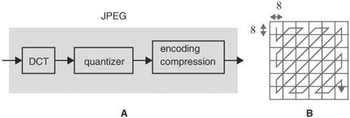 (A) JPEG processing components (B) JPEG encoding order of blocks
