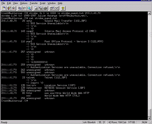 Sample output of a Strobe scan