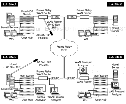 Networking system to receive a routing baseline analysis.