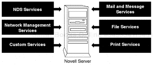 The Novell NDS operational concept.