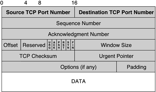 The TCP Header FormatTCPheader formatMANschoosingONS 15454/15327 optical platformsMANschoosingmetropolitan Ethernetcircuitsconfiguringcircuitsmetro Ethernetconfiguringlconfigurationmetro Ethernetcircuitsmetropolitan EthernettransportingONS productstransportingmetropolitan EthernetONS productsONSmetropolitan Ethernetvoice and data transmissionsearly history ofvoice and data transmissionsearly history ofsite surveysphysical site surveysperformingphysical site surveysperfromingpoint-to-point architecturearchitecturepoint-to-point architecturenetwork architecturepoint-to-point architecturenetwork architectureselectingarchitectureselecting