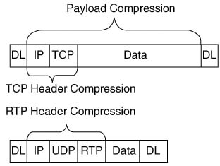 Payload and Header Compression