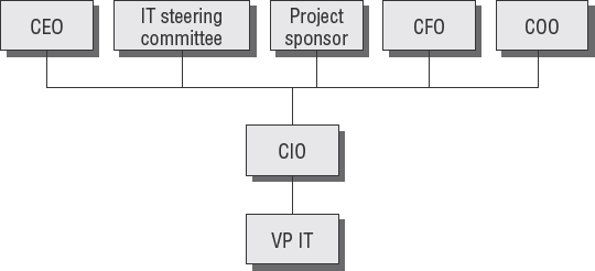 Executives involved at the IT strategy level