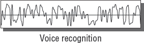 Voice pattern analysis in biometrics
