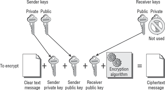 Encryption using public-key system