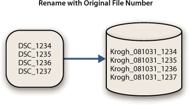 File renaming where the unique identifier is picked up from the original file name.
