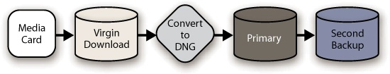 Here’s a diagram of a great way to handle the download for DNG users. The first backup of the proprietary raw goes in the virgin download folder, and then a DNG conversion lands in the primary folder. A visual inspection confirms the integrity of both the virgin and primary copies. Since the second backup has the DNG hash code, it can be validated automatically by the Adobe DNG Converter or ImageVerifier.