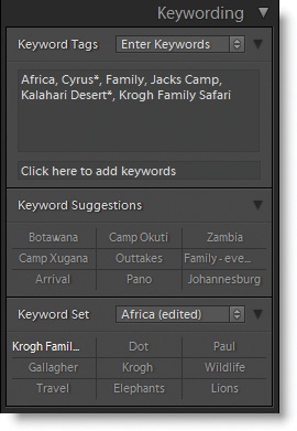 The Keywording panel shows you which tags are applied to a file in the top part, and offers easy access to other keywords in the middle and bottom parts.