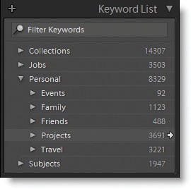 You can organize your keywords into hierarchical groups for easy management.