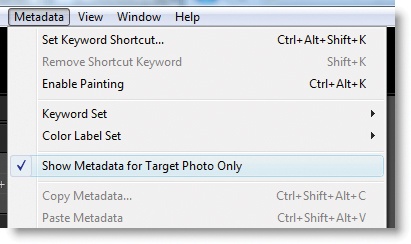 When Show metadata for Targeted Photo Only is enabled, you’ll only see and change metadata for the most-selected image, even in Grid view. When it’s disabled, you’ll be seeing and working on all the images in the Grid.