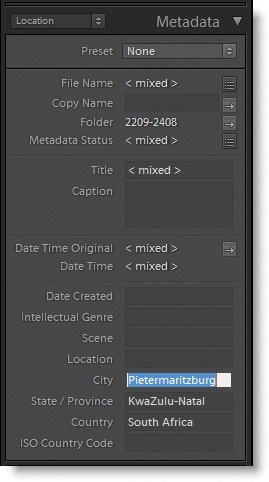 The Metadata panel lets you see comprehensive metadata for one or more images. If you see <mixed> in the field, it means that more than one image is selected and there are multiple values for that field.