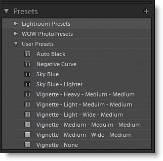 You can save presets for develop setting combinations that you like.