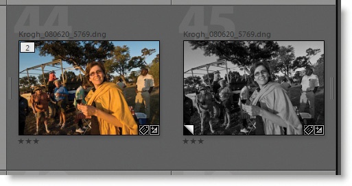 When you make a virtual copy, Lighroom lets you work with an alternate version of the image as a separate file—kind of.
