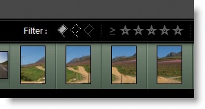 If you want outtakes to automatically hide, highlight the left two flags in the Filter menu at the bottom of the screen. As you mark images with an X, they will disappear from view.