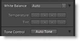 Quick Develop includes Auto tools for both color and tonal corrections.