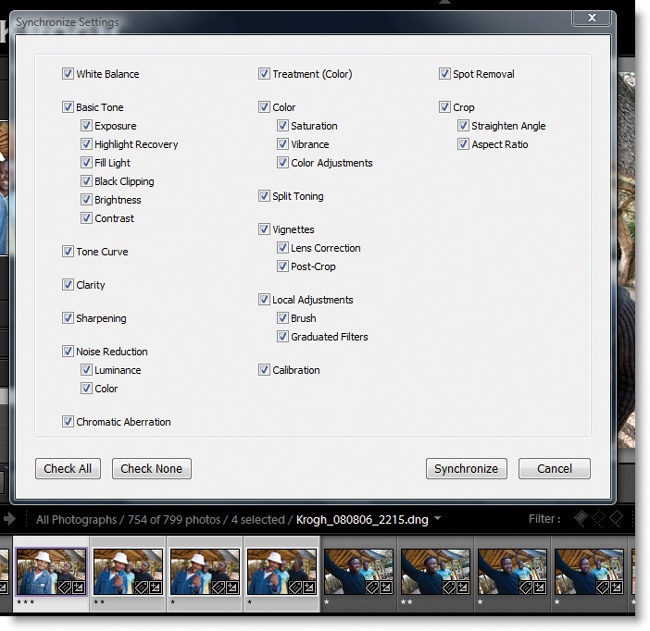 The Sync dialog lets you choose settings to transfer from most-selected image to all other selected images.