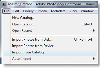 Once you’re done with the project, you can move all the information from the project catalog into the master catalog using the Import From Catalog command in the File menu.