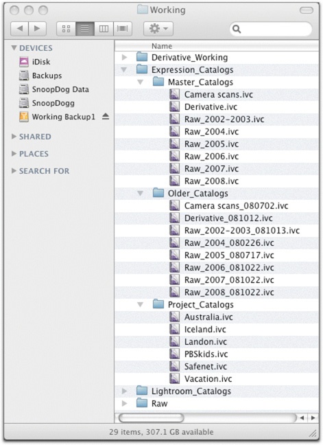 My master catalog folder, as well as project and backup versions.
