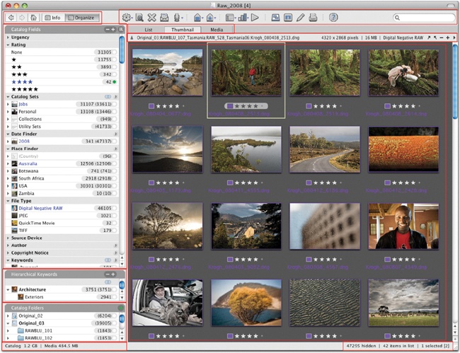 Here is one configuration of the Expression Media interface, with the Organize panel and Thumbnail view showing.