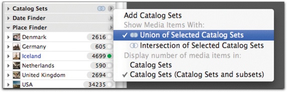 You can change how multiple selection functions within catalog sets or keywords by choosing Union or Intersection.