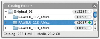 The size readouts from Expression Media. You can see the size of the catalog document (563MB) as well as the size of shown images (in this case, RAWBLU_118_Africa is 23.2 GB).