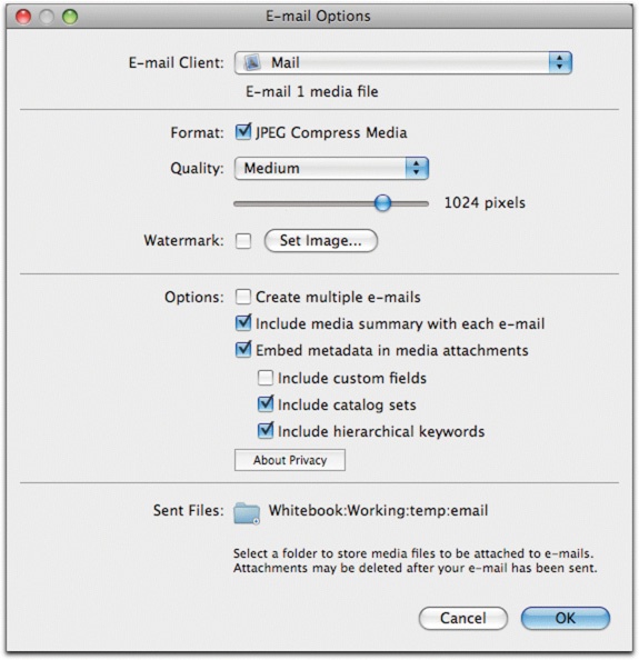 The E-mail Options dialog box lets you email images easily.