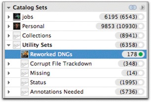 When you rework the develop settings in the DNG files, make a note of it in the catalog sets so you’ll know which ones to update and can restore the settings if your archive drive fails.