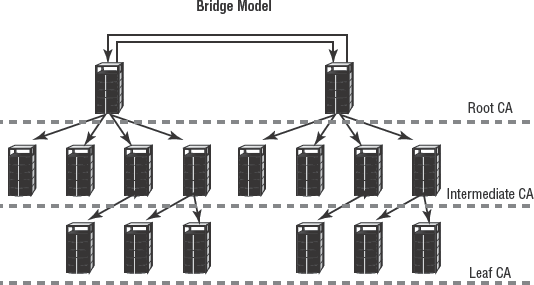 A cross or bridge trust structure