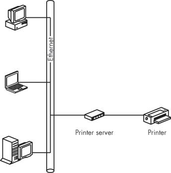 A printer server can be either a computer with a printer connected to it or a dedicated printer server.