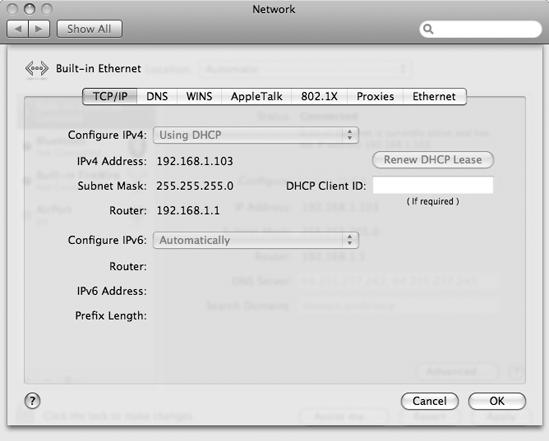 In OS X, choose the Using DHCP option to obtain an IP address from a server.