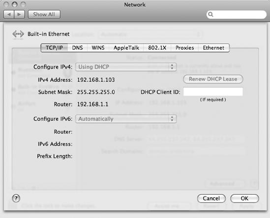 The Built-in Ethernet window controls the network configuration settings.