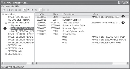 Viewing the IMAGE_FILE_HEADER in the PEview program