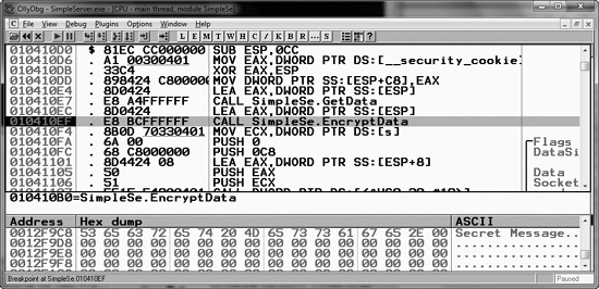 Viewing program data prior to the encryption function call