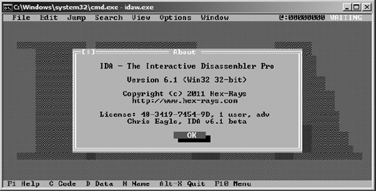 The console version of IDA Pro