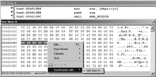 Synchronized hex and disassembly views