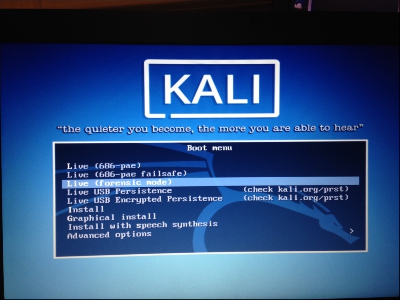 Installing Kali Linux to an encrypted USB drive