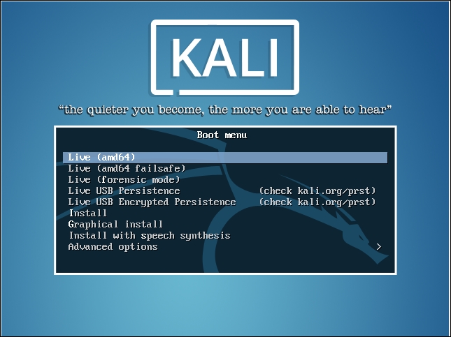 Running Kali from the live CD